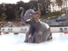 Giant Elephant Slide Model 1800-14