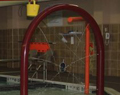 Water Curtain Model 1800-70
