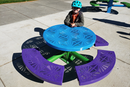 Site Amenities: Tables, Benches, Bike Racks, and Litter Receptacles