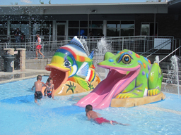 Frog Slide Model 1800-10 Frog Slide Model 1800-10
