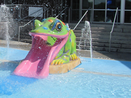 Frog Slide Model 1800-10 Frog Slide Model 1800-10