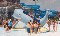 Willie the Whale Slide Model 1800-11