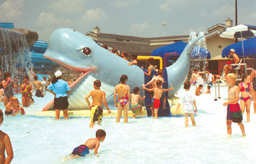 Willie the Whale Slide Model 1800-11