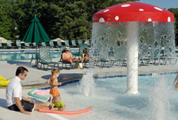 7' 6" Mushroom Spray Fountain Model 1800-17