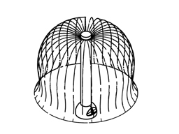 Bubble Tent Model 1800-61 plan view