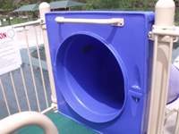 Double Flume Pool Slide Model 9305