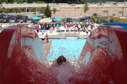 Fiberglass Water Slide Model 1901