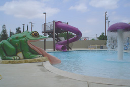 Water Slide Model 1625