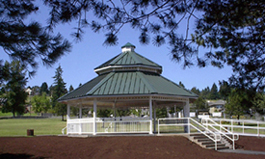 White Mountain Octagon Shelter 98-OCT035-8T